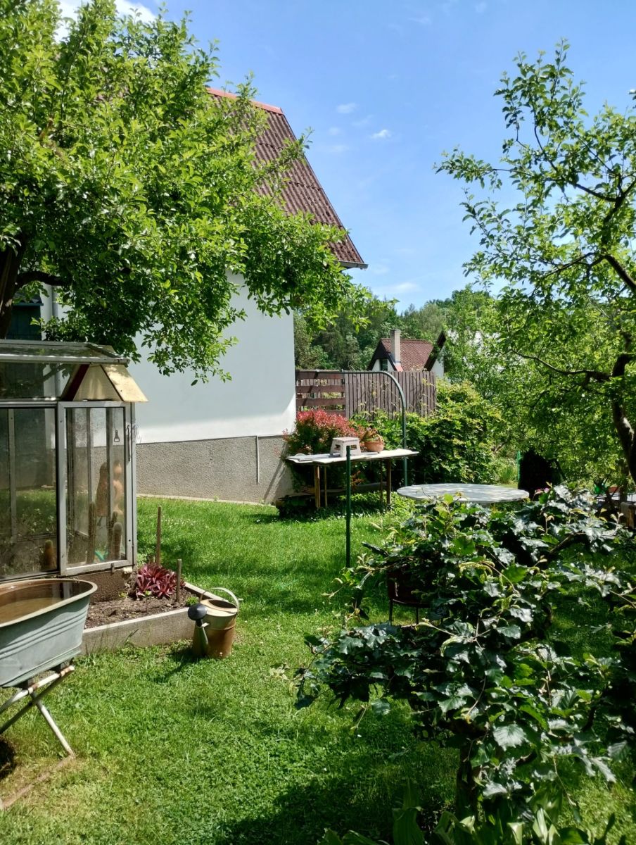 Prodej chaty, chalupy 16 m², pozemek 400 m² — photo 5