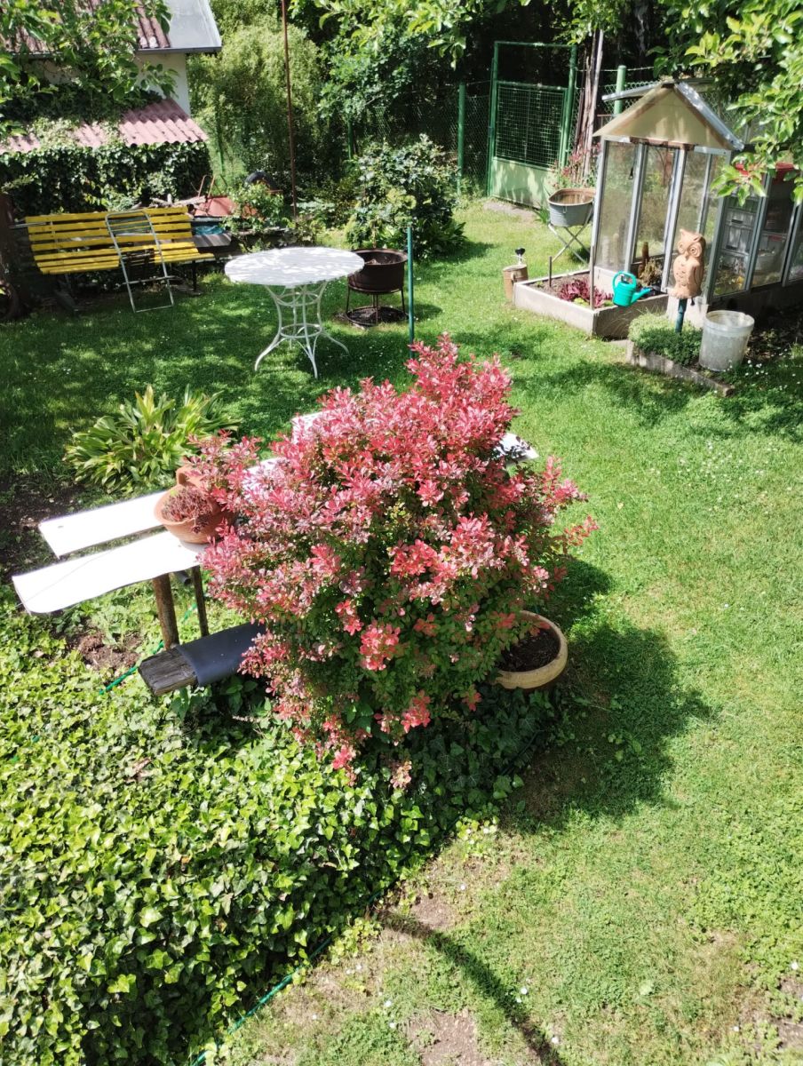 Prodej chaty, chalupy 16 m², pozemek 400 m² — photo 4