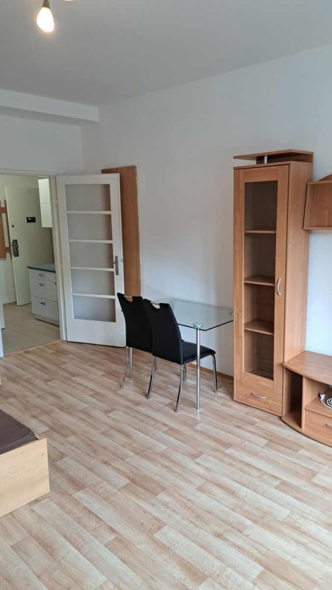 Pronájem bytu 1+kk 30 m² — photo 2