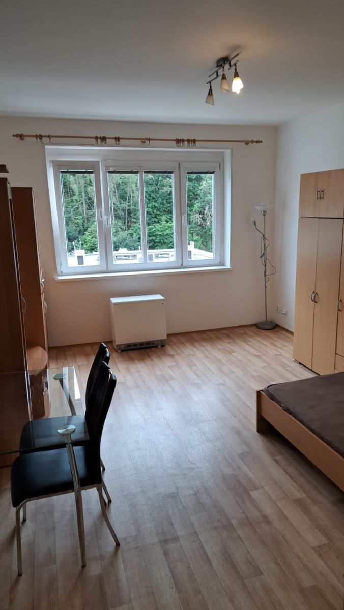 Pronájem bytu 1+kk 30 m² — photo 3