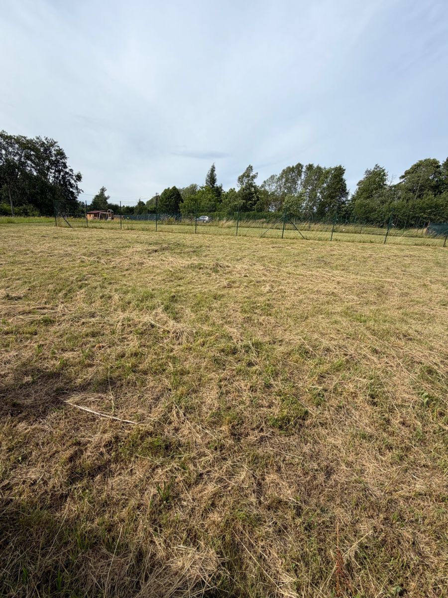 Prodej pozemku 480 m² — photo 4