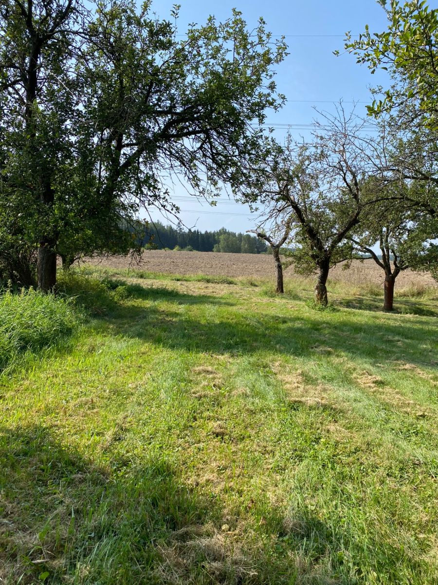 Prodej pozemku 3.359 m²