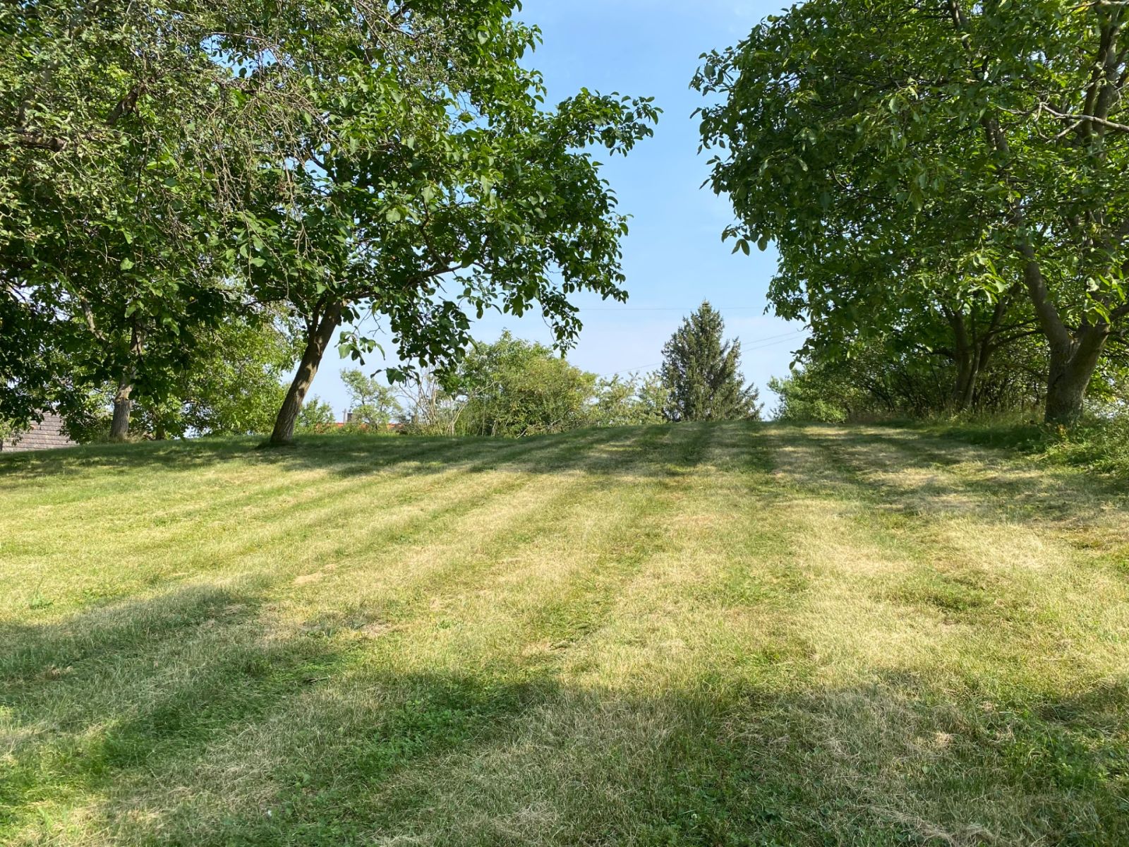 Prodej pozemku 3.359 m² — photo 4