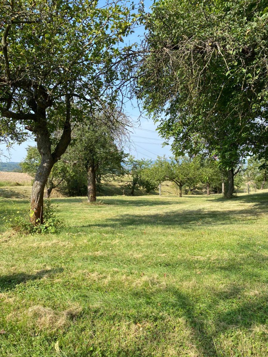 Prodej pozemku 3.359 m² — photo 2