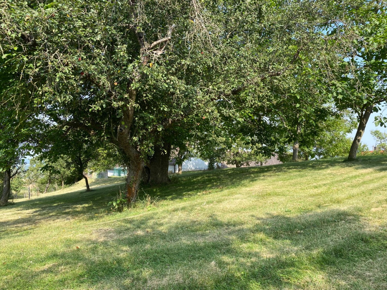 Prodej pozemku 3.359 m² — photo 3