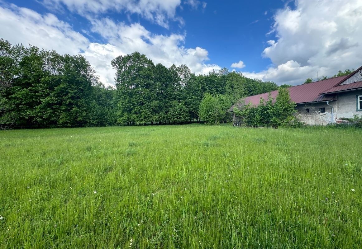 Prodej pozemku 10.325 m² — photo 4