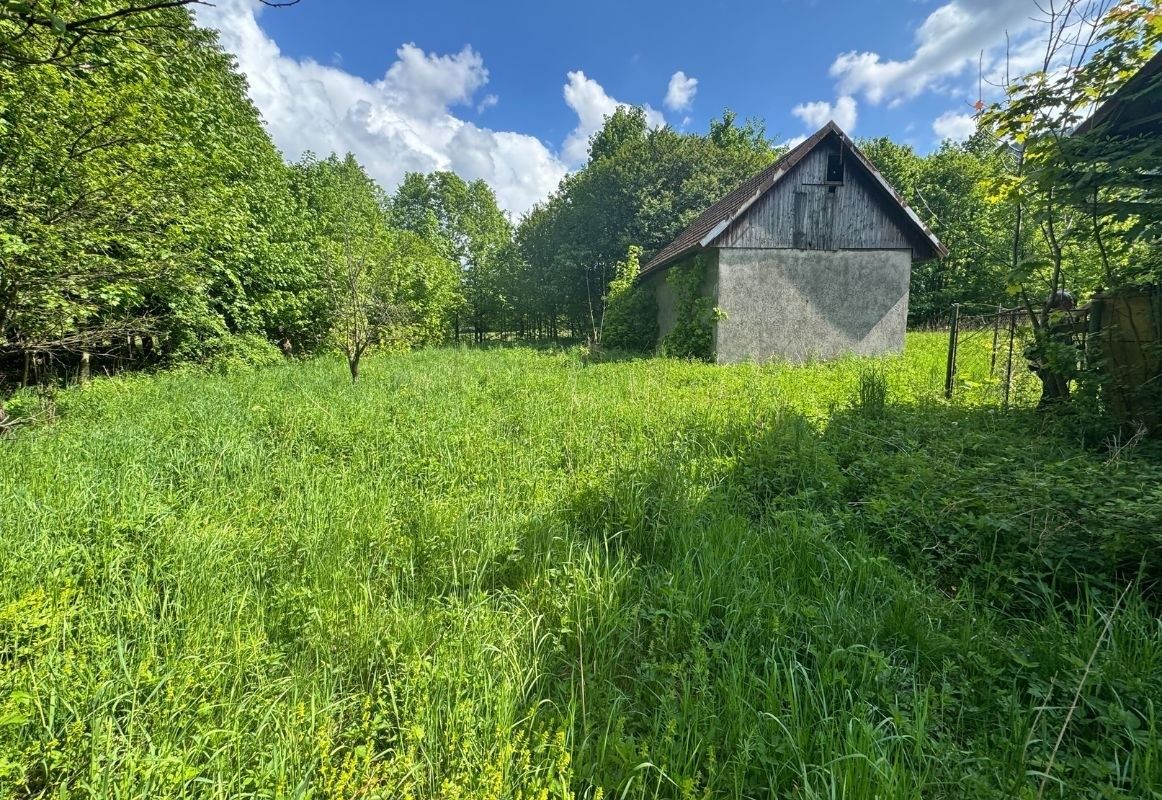 Prodej pozemku 10.325 m² — photo 5