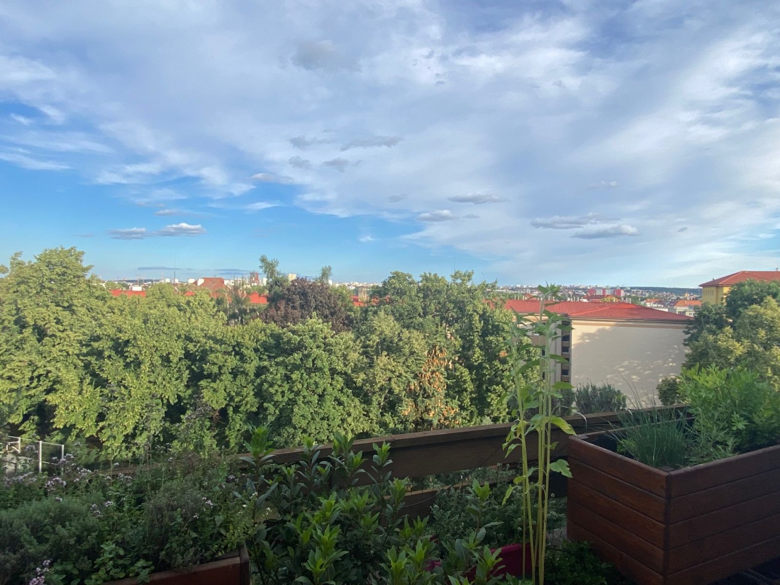 Prodej bytu 3+1 76 m²