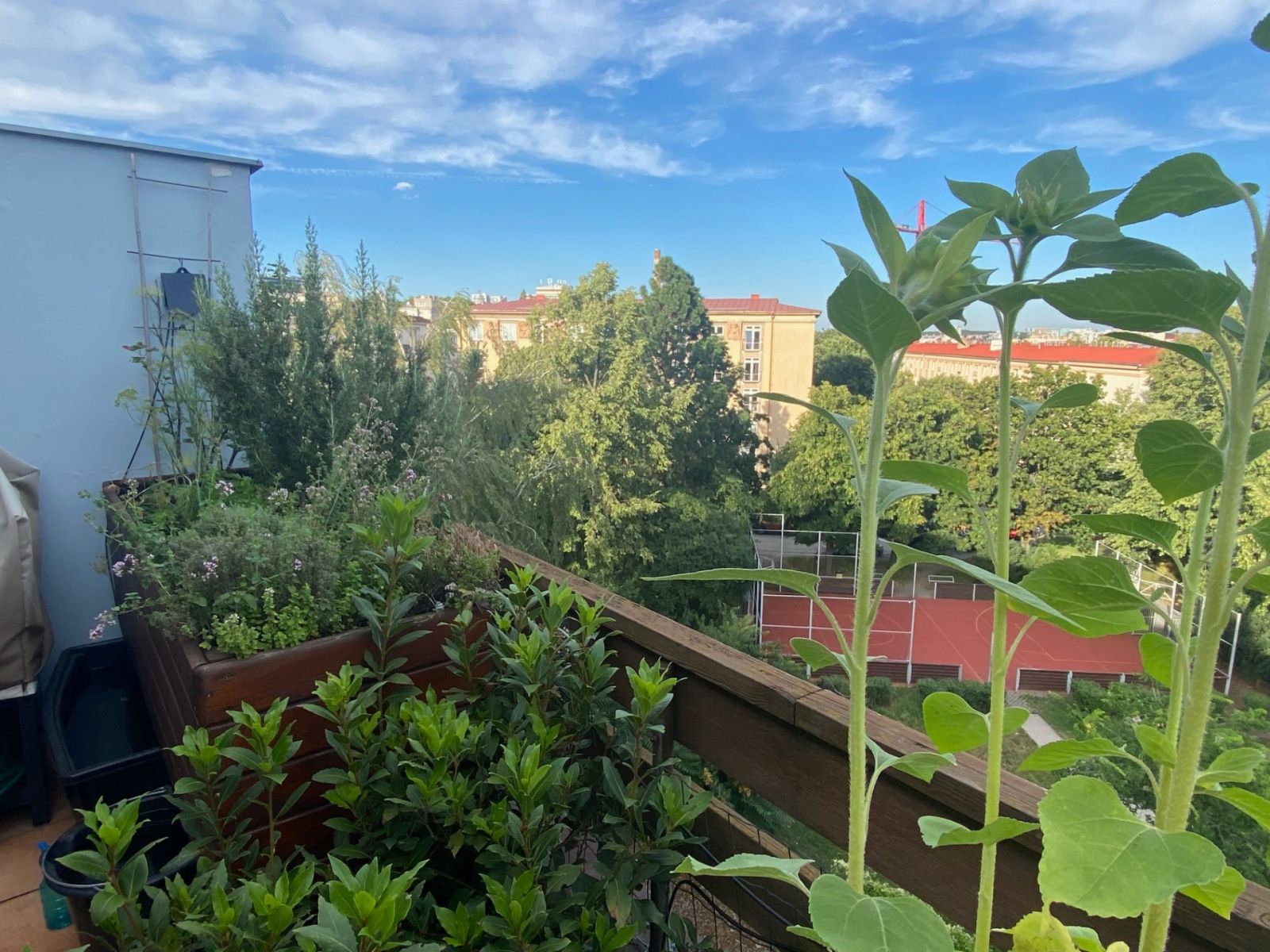 Prodej bytu 3+1 76 m² — photo 2