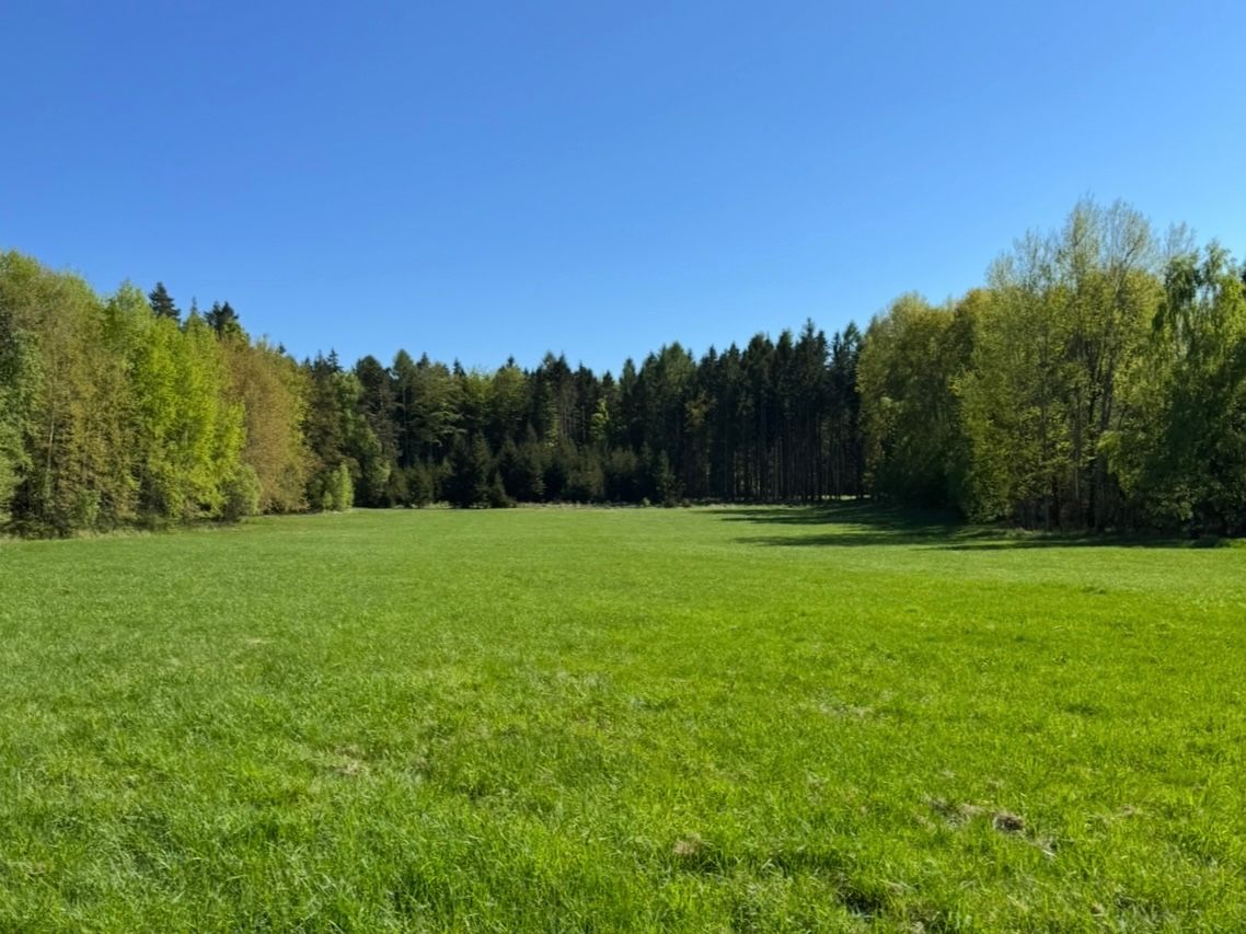 Prodej pozemku 16.750 m²