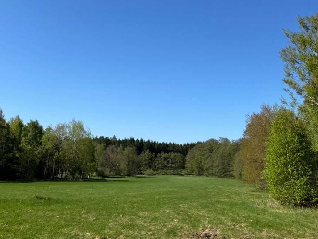 Prodej pozemku 16.750 m² — photo 2