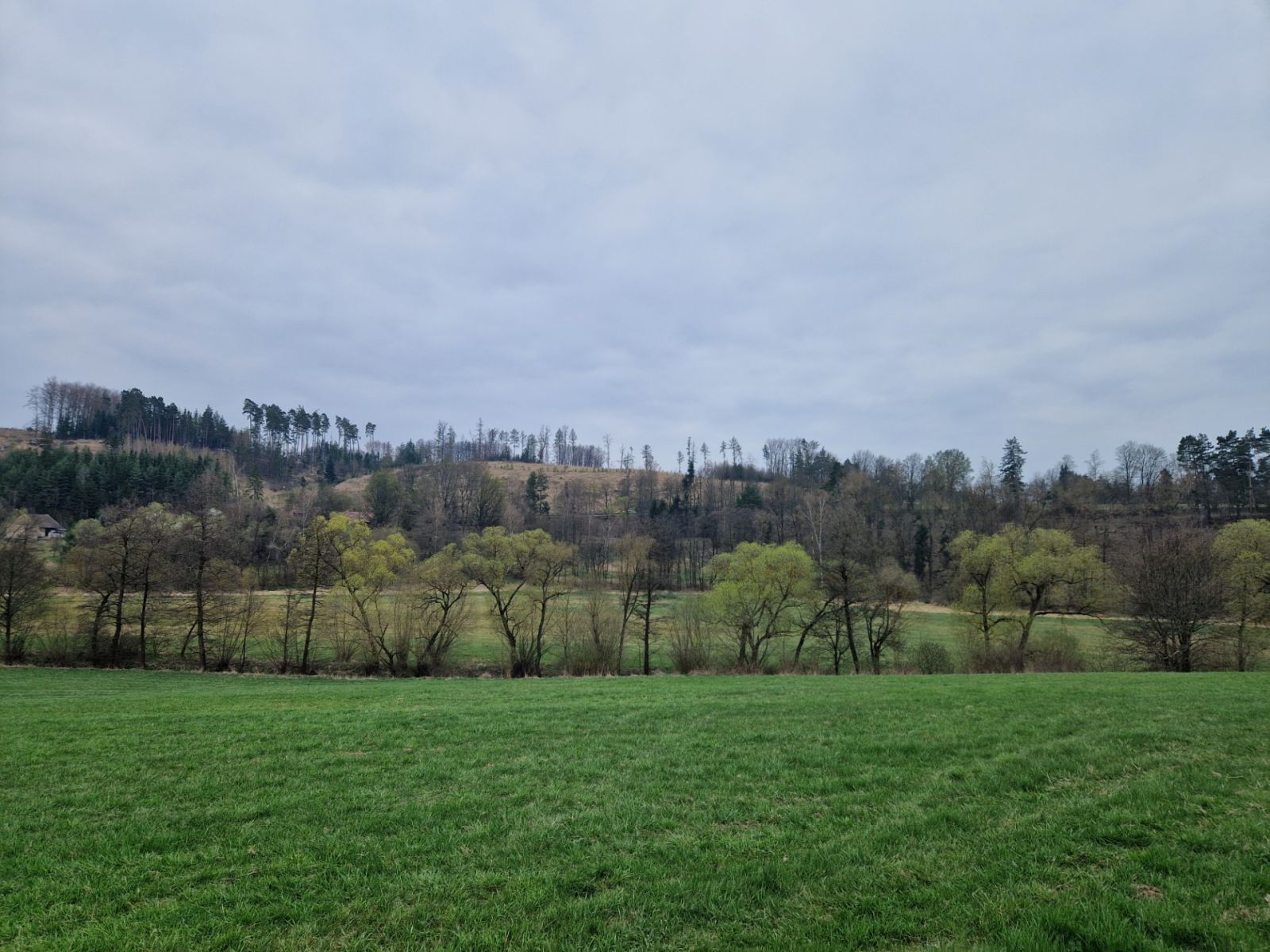 Prodej pozemku 2.929 m² — photo 3
