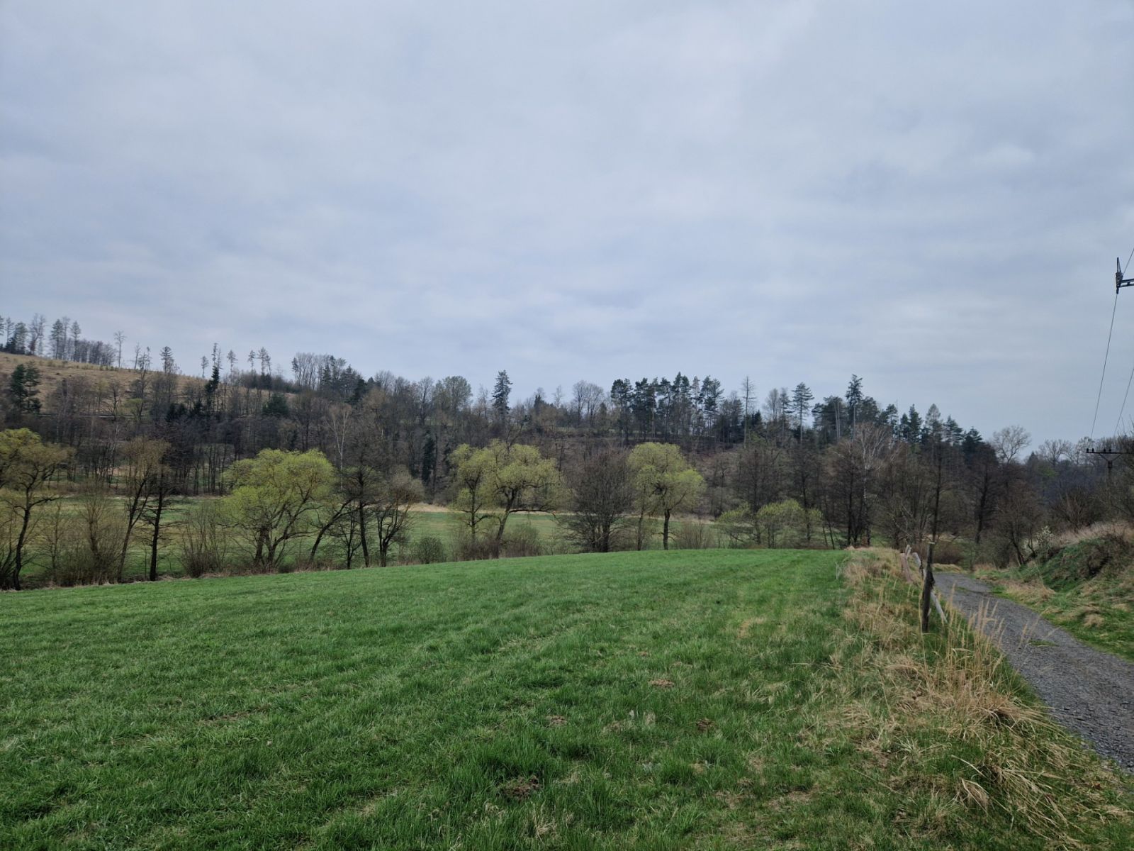 Prodej pozemku 2.929 m² — photo 4