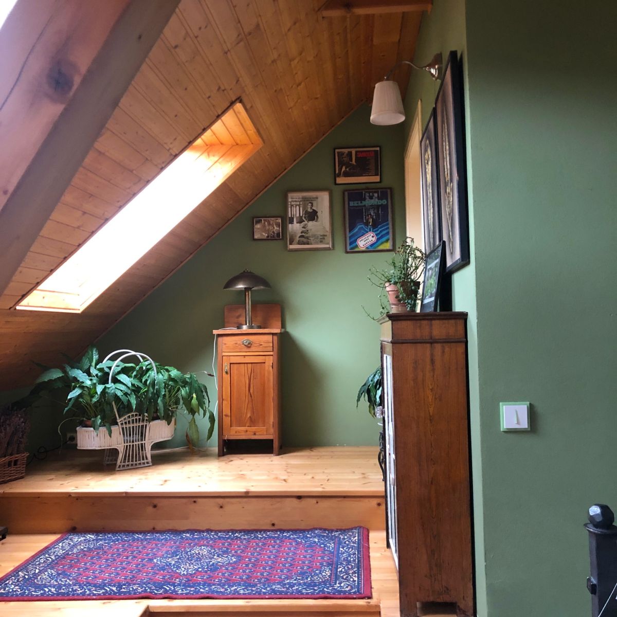 Prodej domu 241 m², pozemek 2.055 m² — photo 4