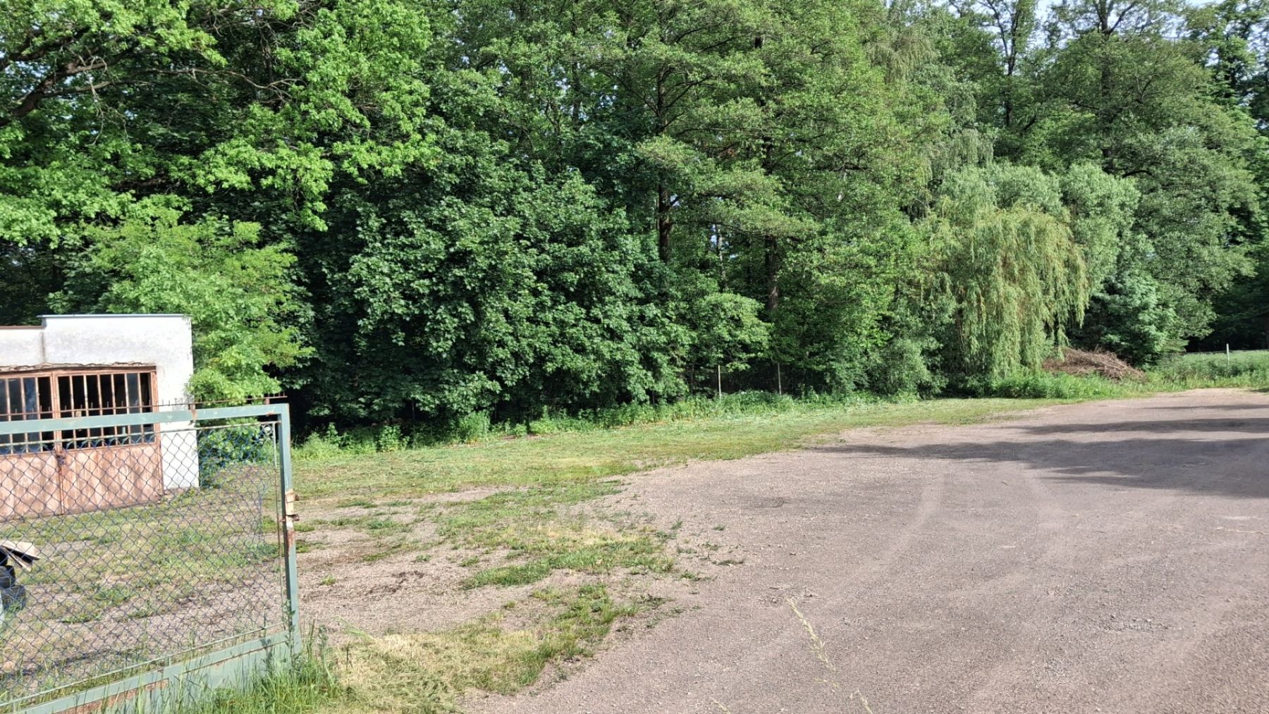 Pronájem nebytového prostoru 640 m² — photo 3