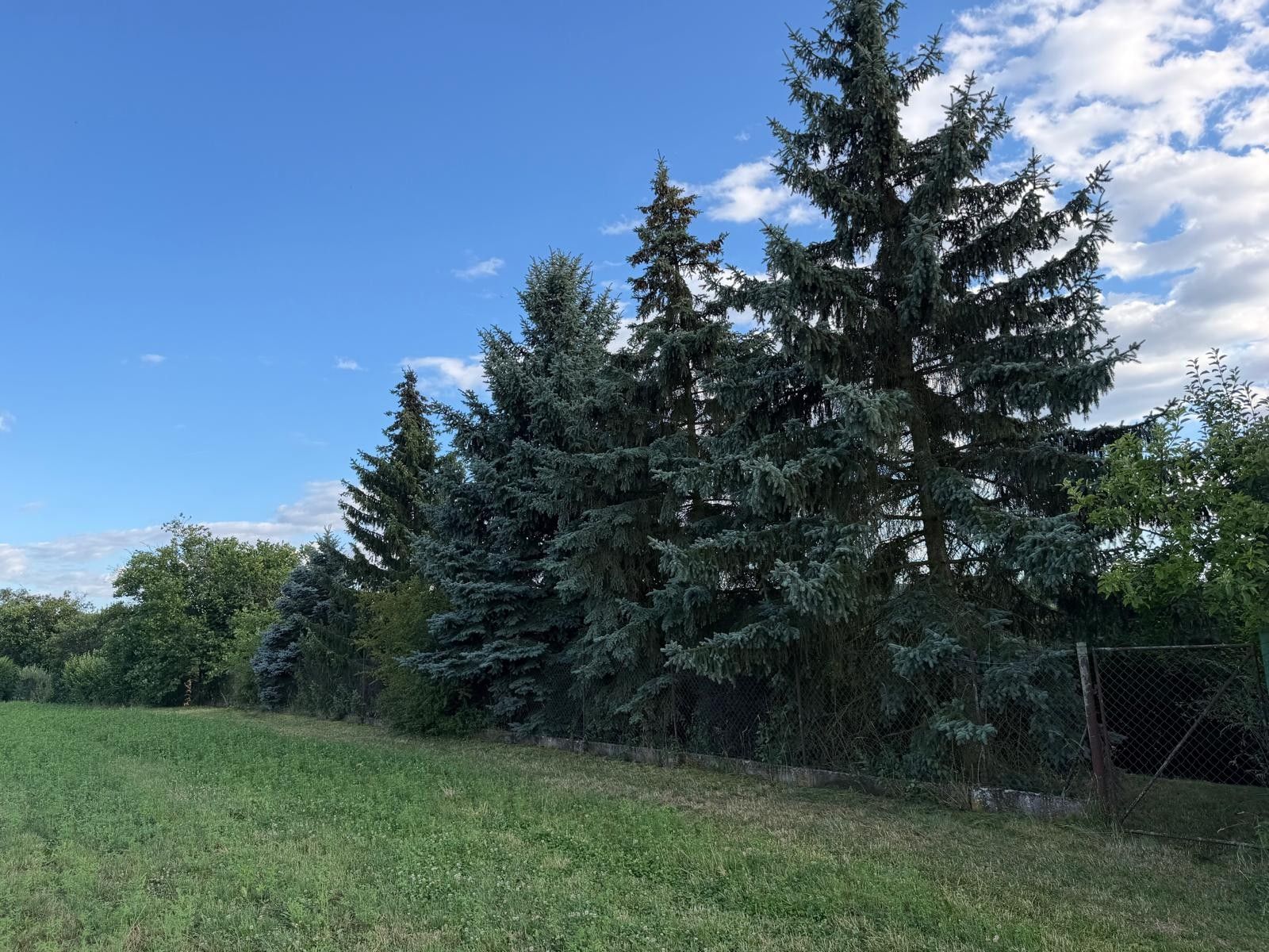 Prodej chaty, chalupy 800 m², pozemek 799 m²