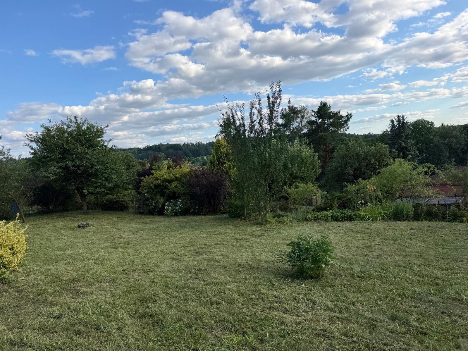 Prodej chaty, chalupy 800 m², pozemek 799 m² — photo 4