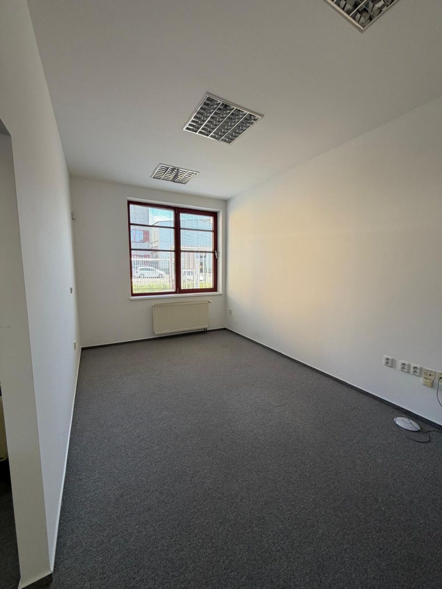Pronájem kanceláře 250 m² — photo 3
