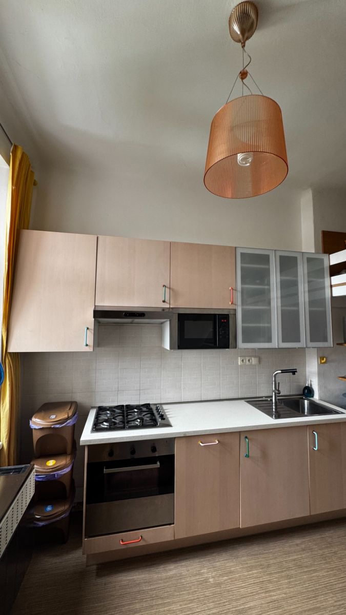 Pronájem bytu 2+kk 39 m² — photo 4