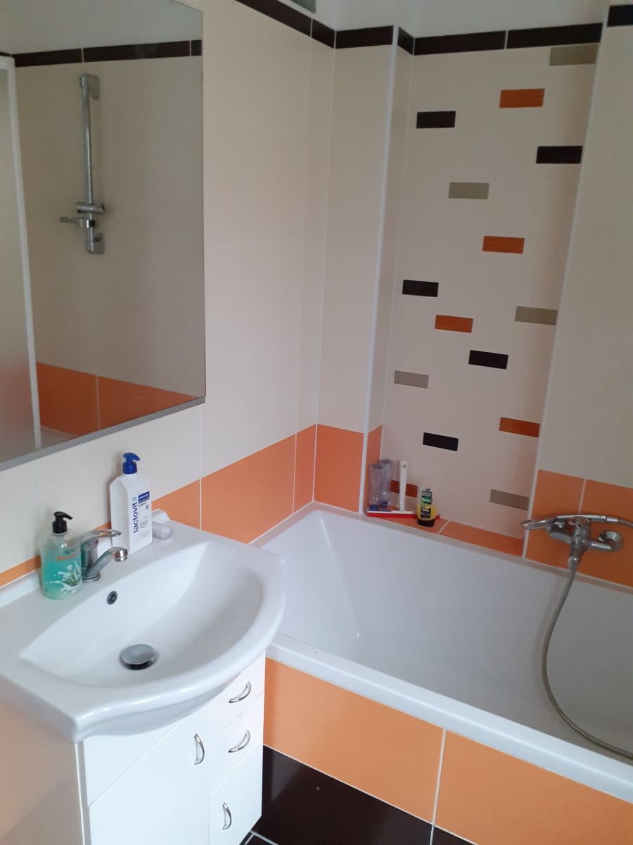 Pronájem bytu 2+1 55 m² — photo 4
