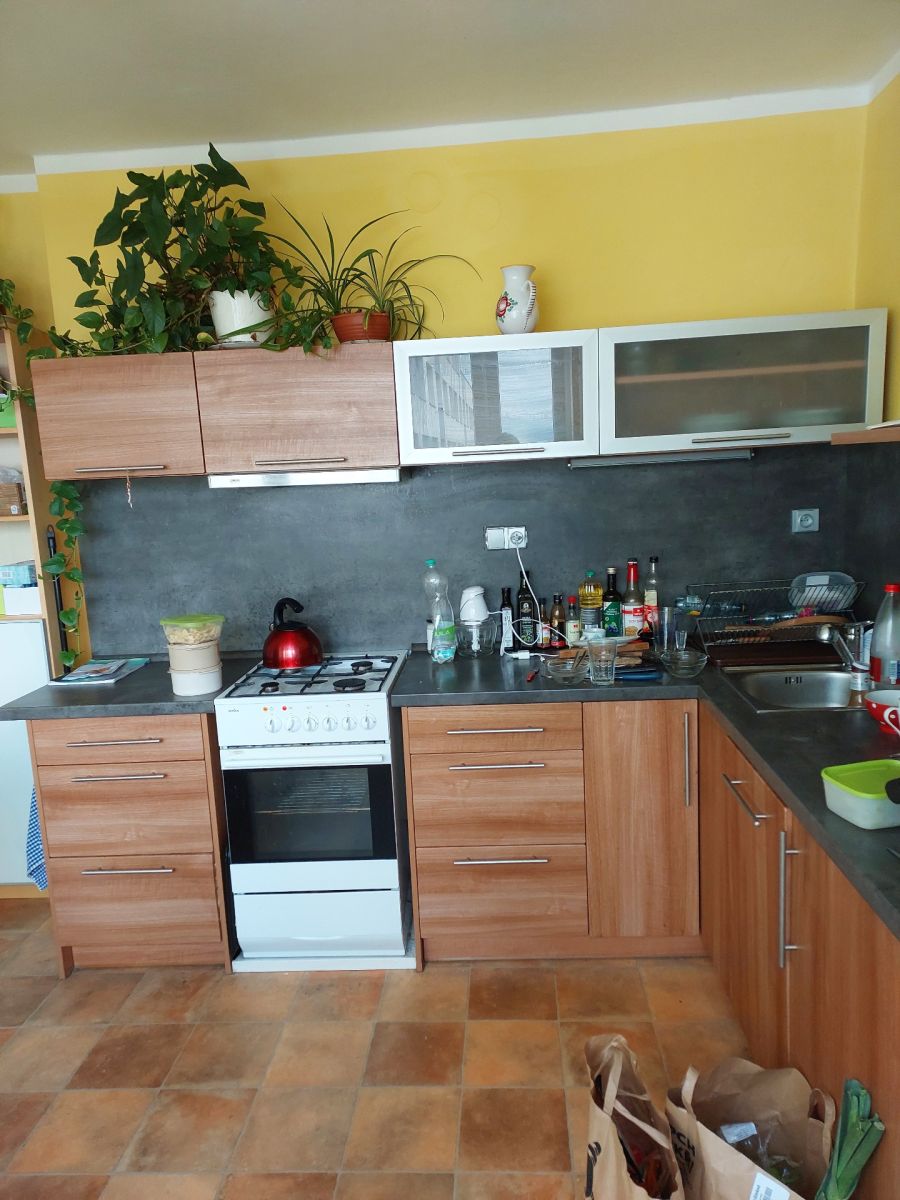 Prodej bytu 3+1 88 m² — photo 3