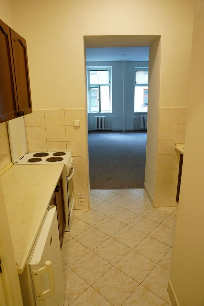 Pronájem bytu 1+1 38 m² — photo 4