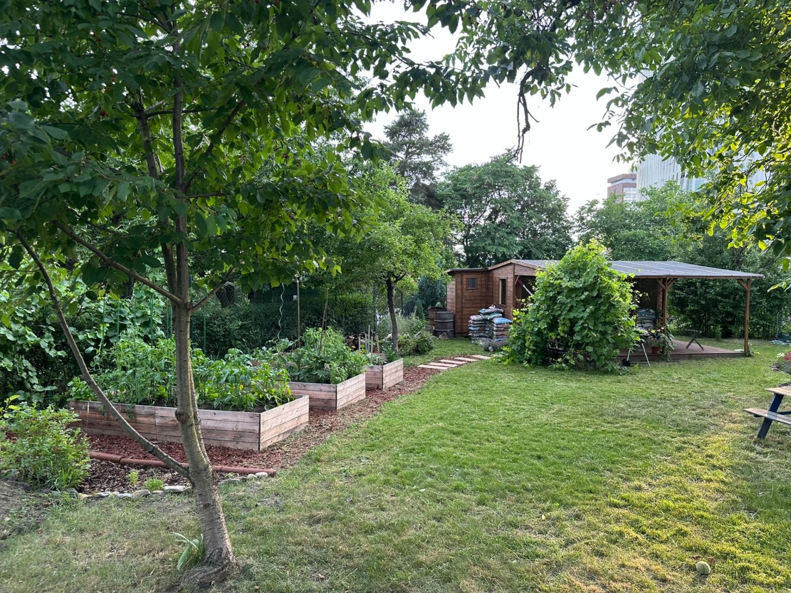 Prodej chaty, chalupy 25 m², pozemek 270 m² — photo 3