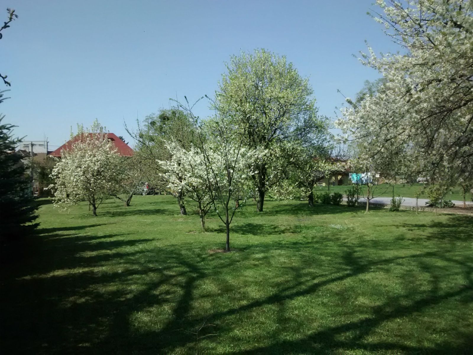 Prodej pozemku 1.233 m² — photo 3