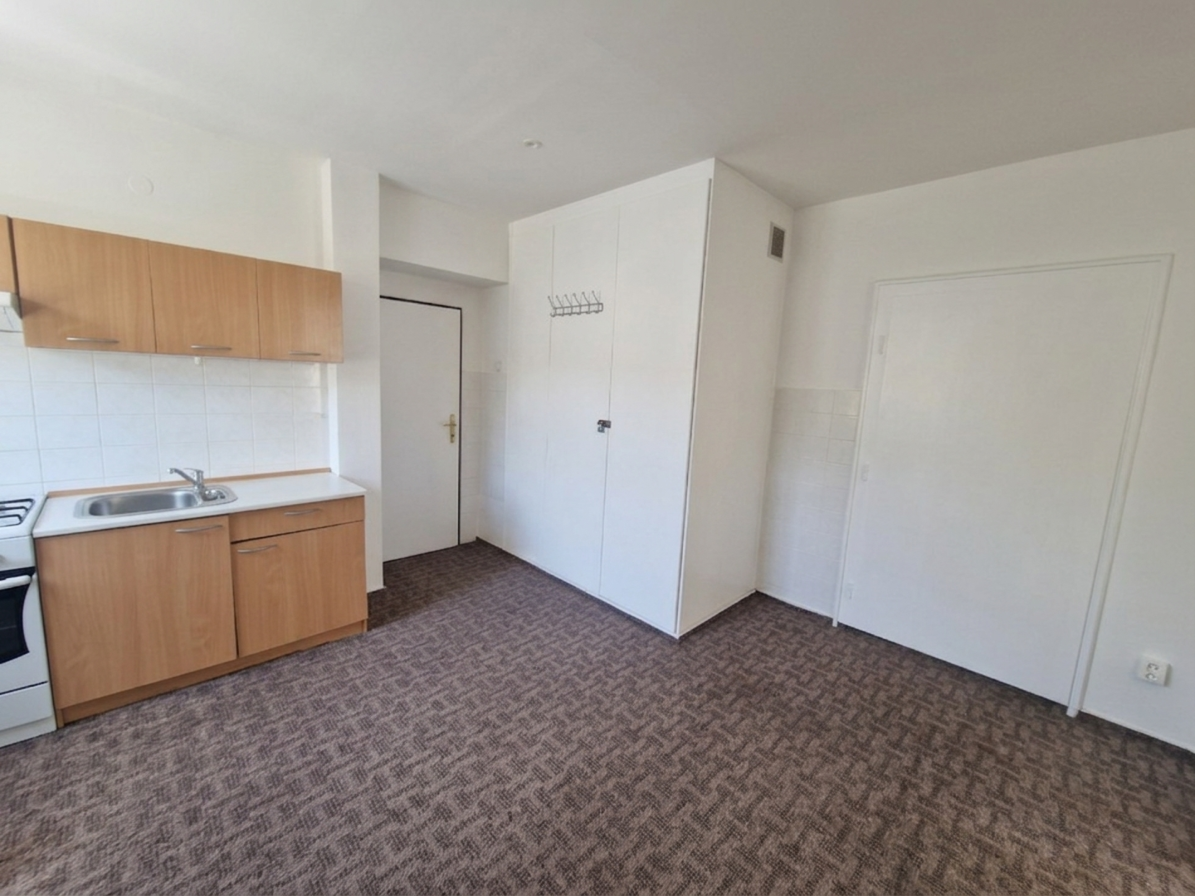 Pronájem bytu 1+kk 25 m²