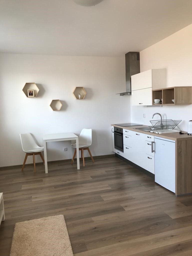 Pronájem bytu 1+kk 36 m²