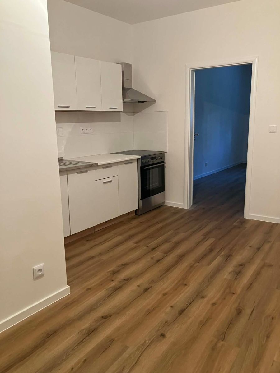 Pronájem bytu 1+1 50 m² — photo 4