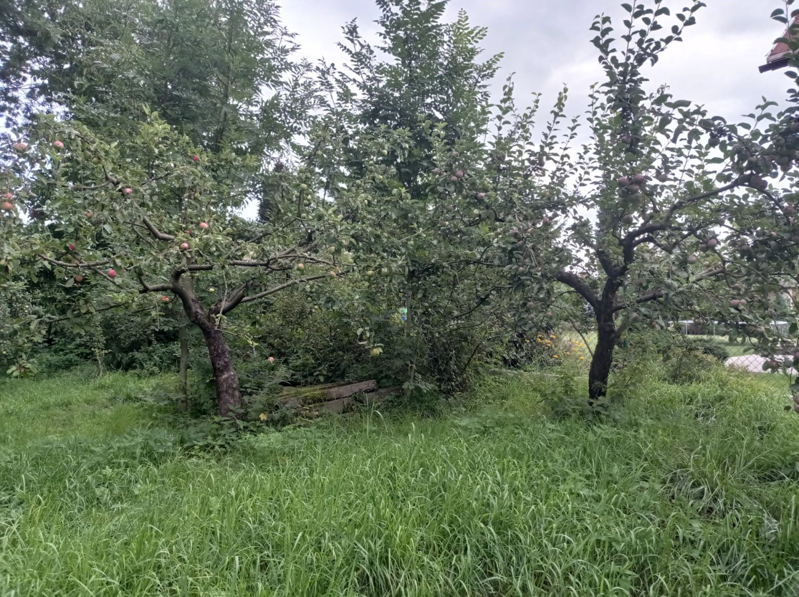Prodej chaty, chalupy 44 m², pozemek 558 m² — photo 3