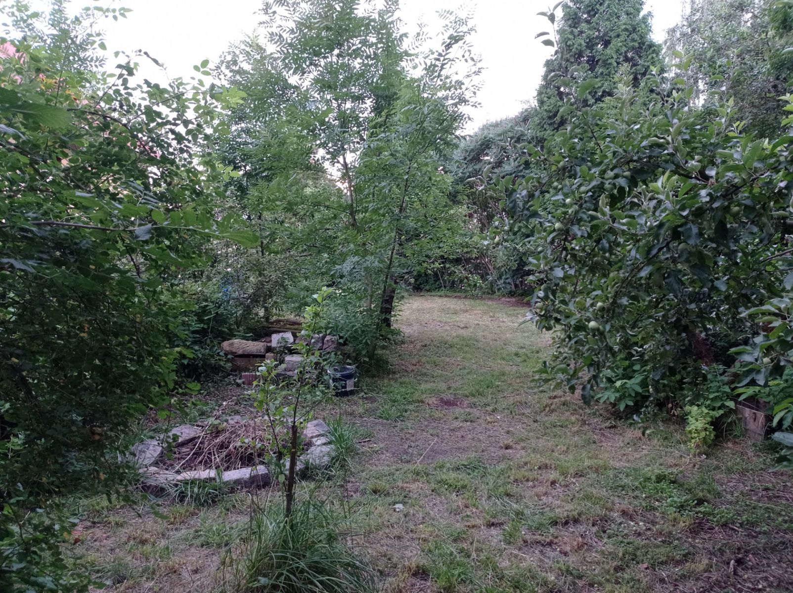 Prodej chaty, chalupy 44 m², pozemek 558 m² — photo 2