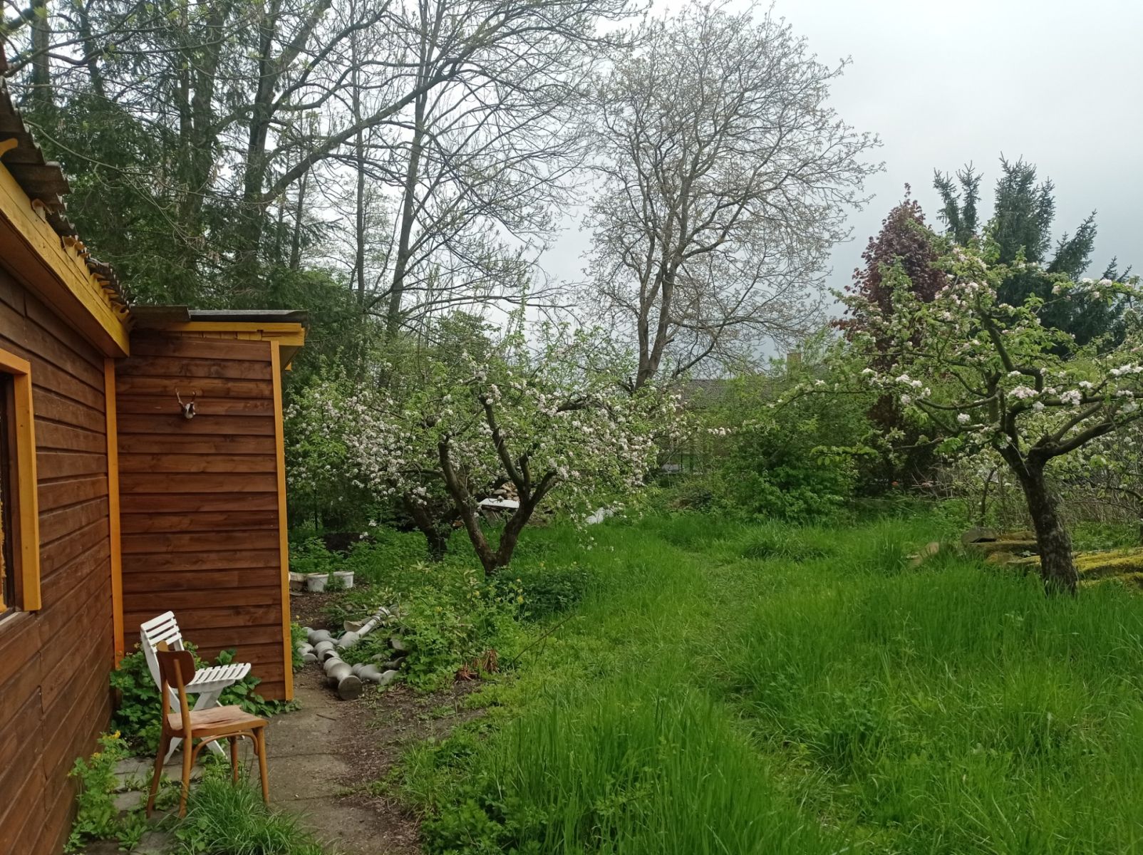 Prodej chaty, chalupy 44 m², pozemek 558 m² — photo 5
