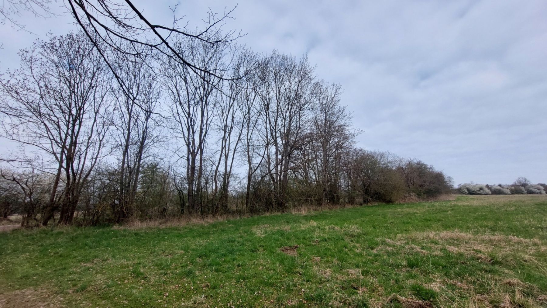 Prodej pozemku 2.040 m² — photo 2