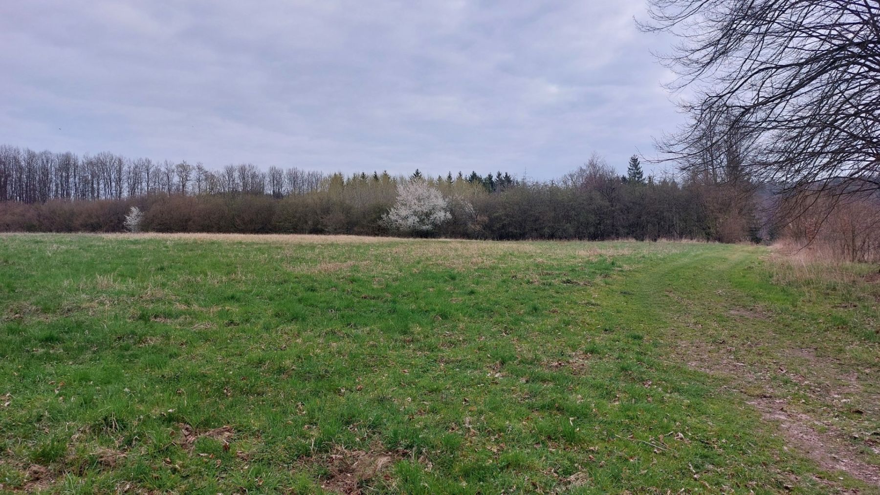 Prodej pozemku 2.040 m²
