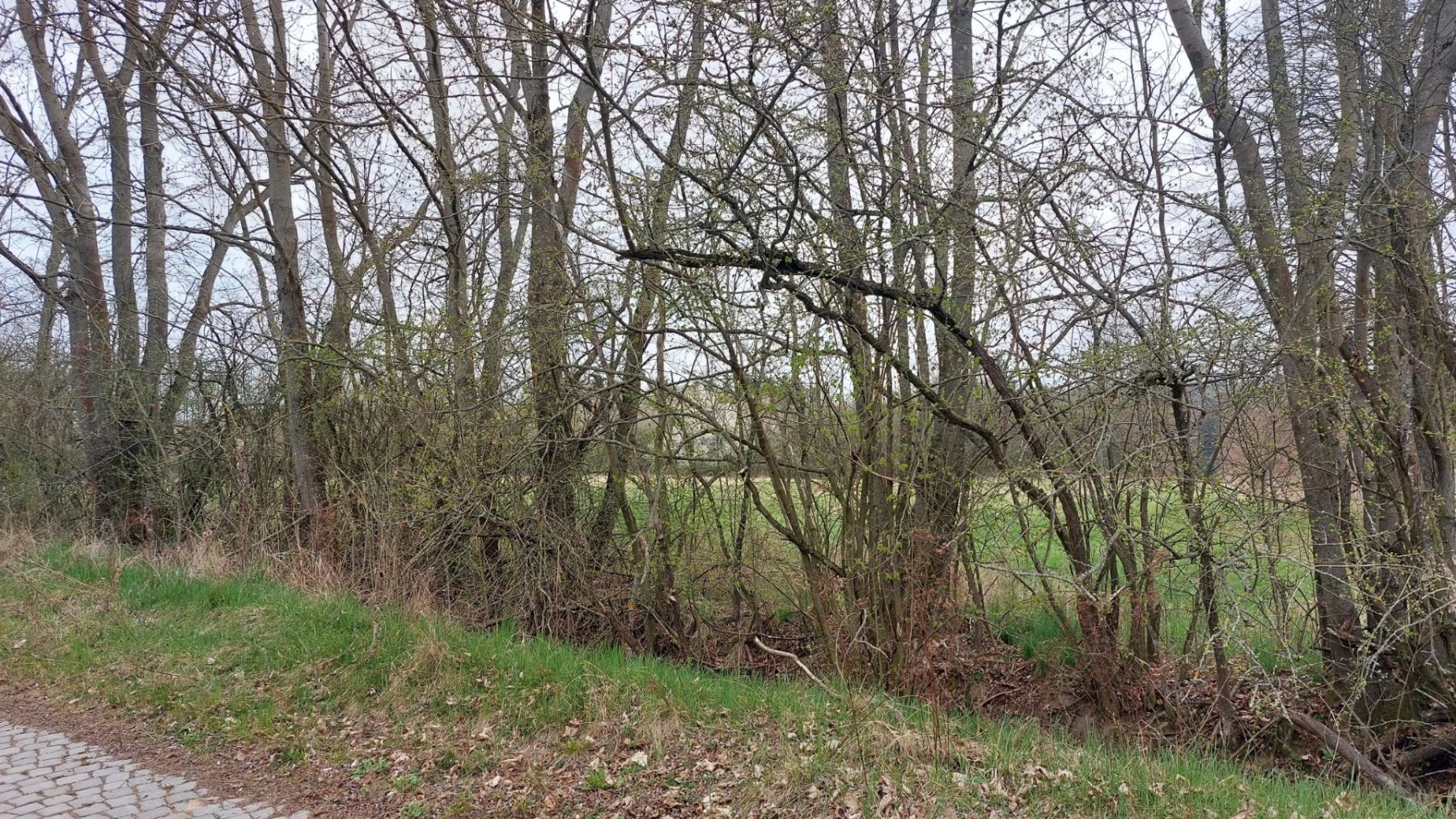 Prodej pozemku 2.040 m² — photo 3