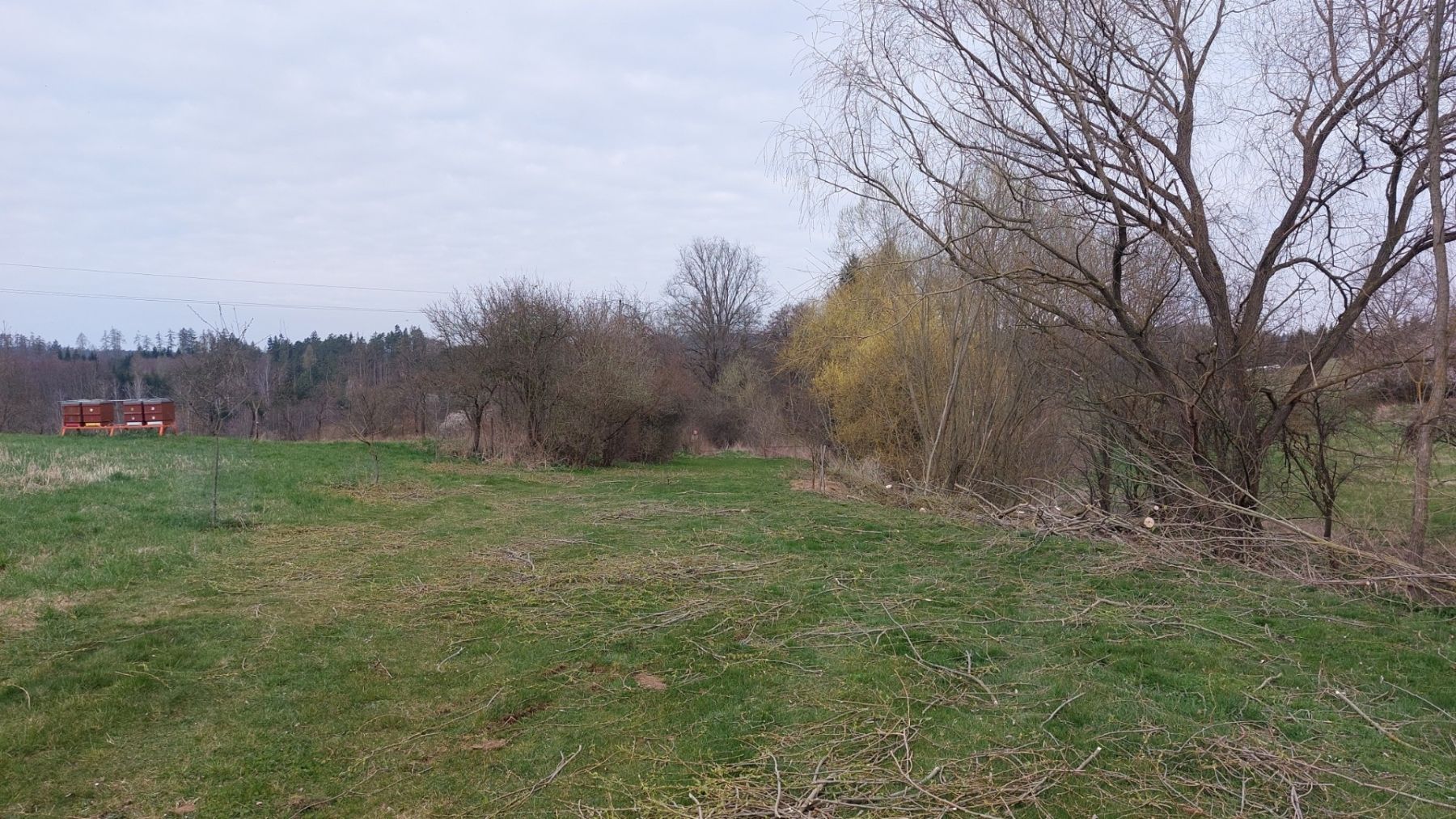 Prodej pozemku 2.723 m² — photo 3