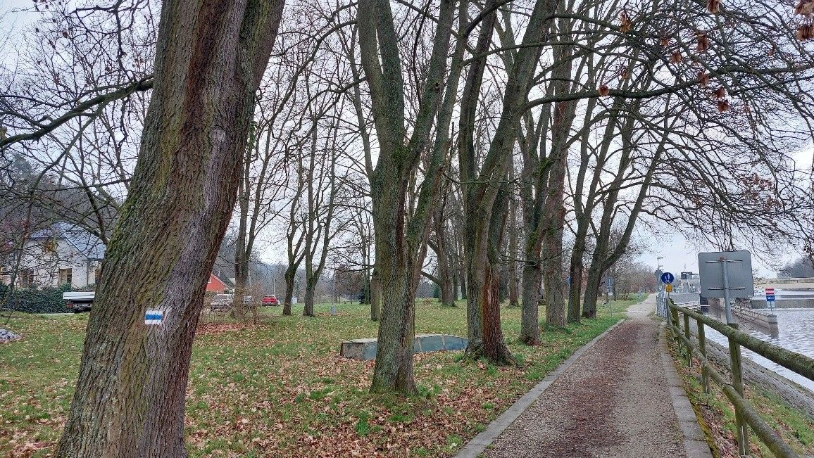 Prodej pozemku 7.743 m² — photo 3