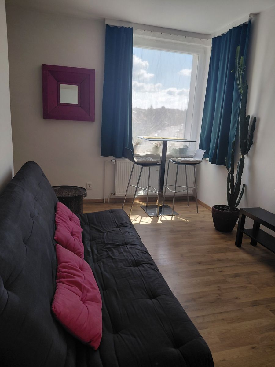Pronájem bytu 1+kk 27 m² — photo 2
