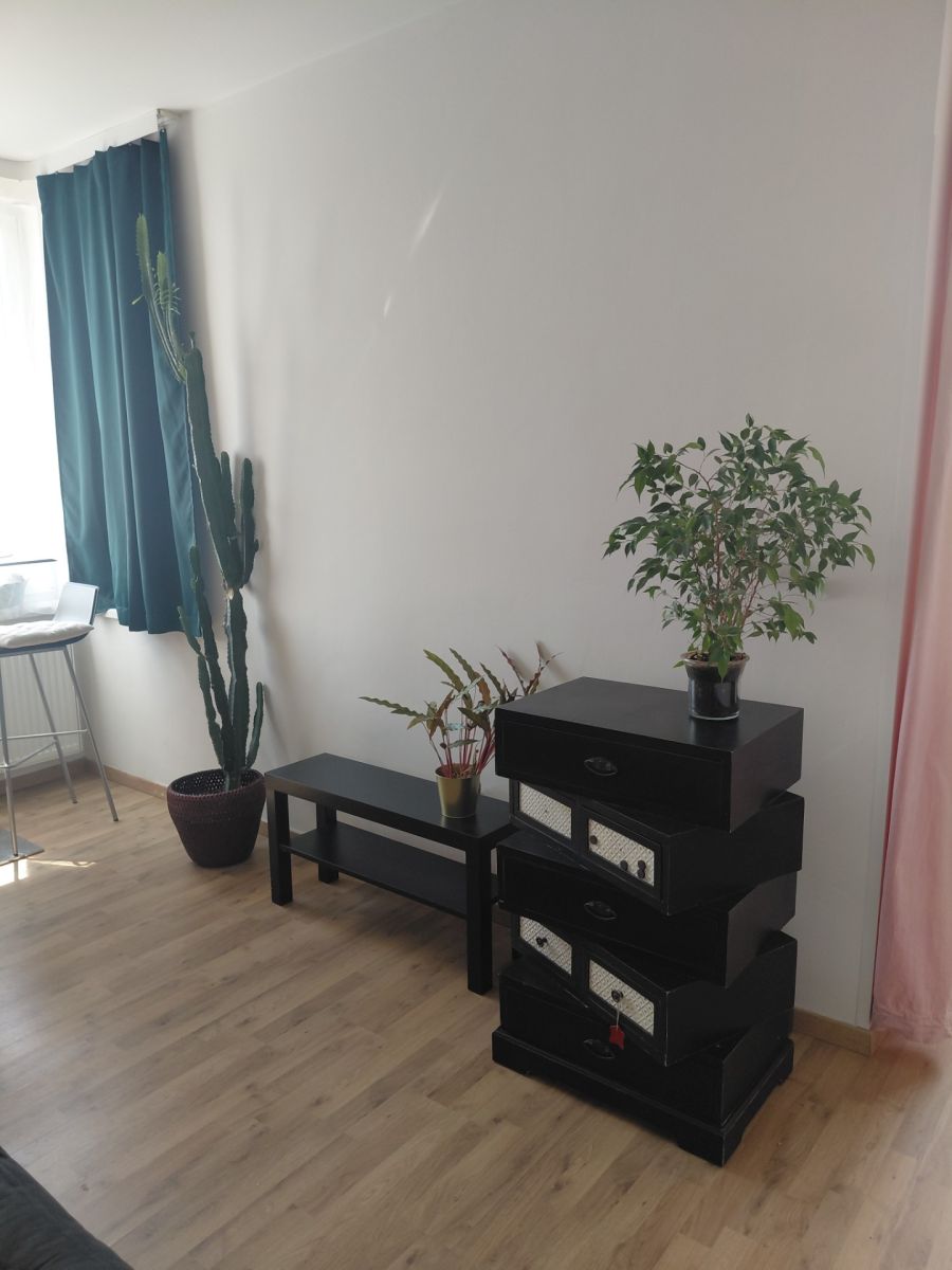 Pronájem bytu 1+kk 27 m² — photo 3