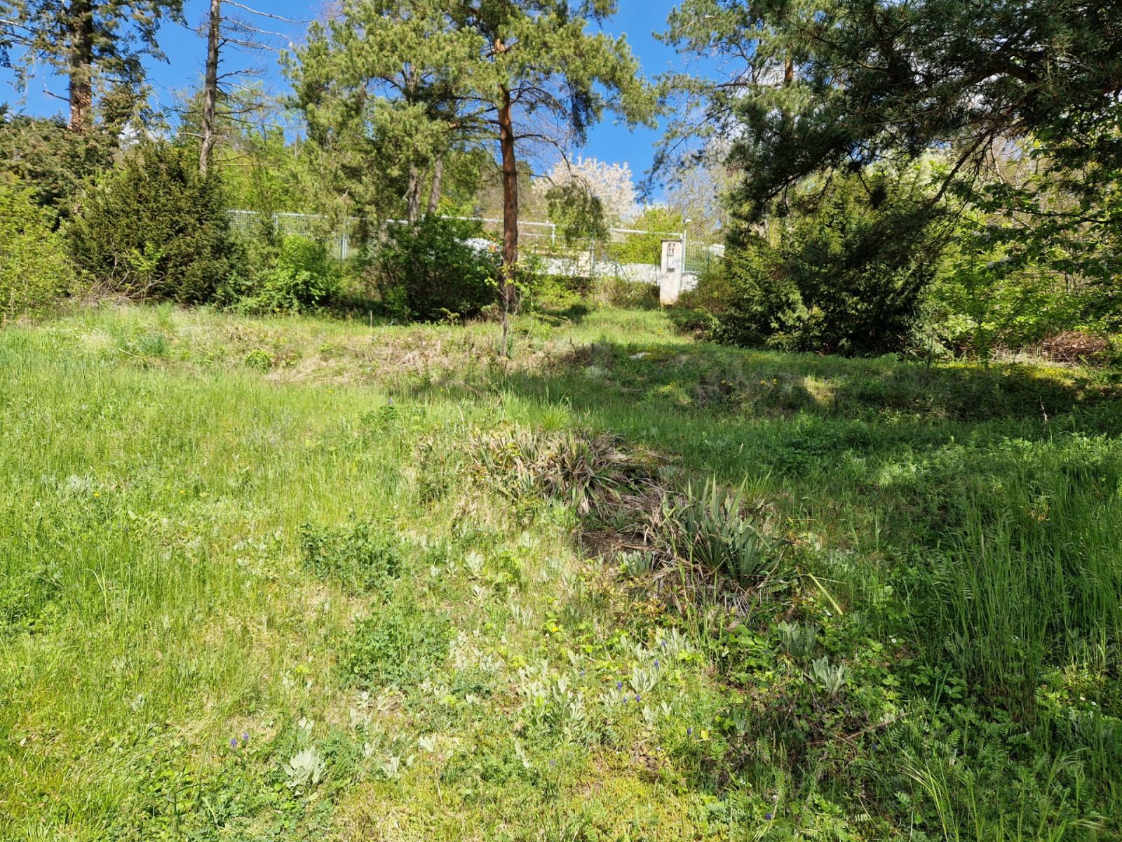 Prodej pozemku 900 m²