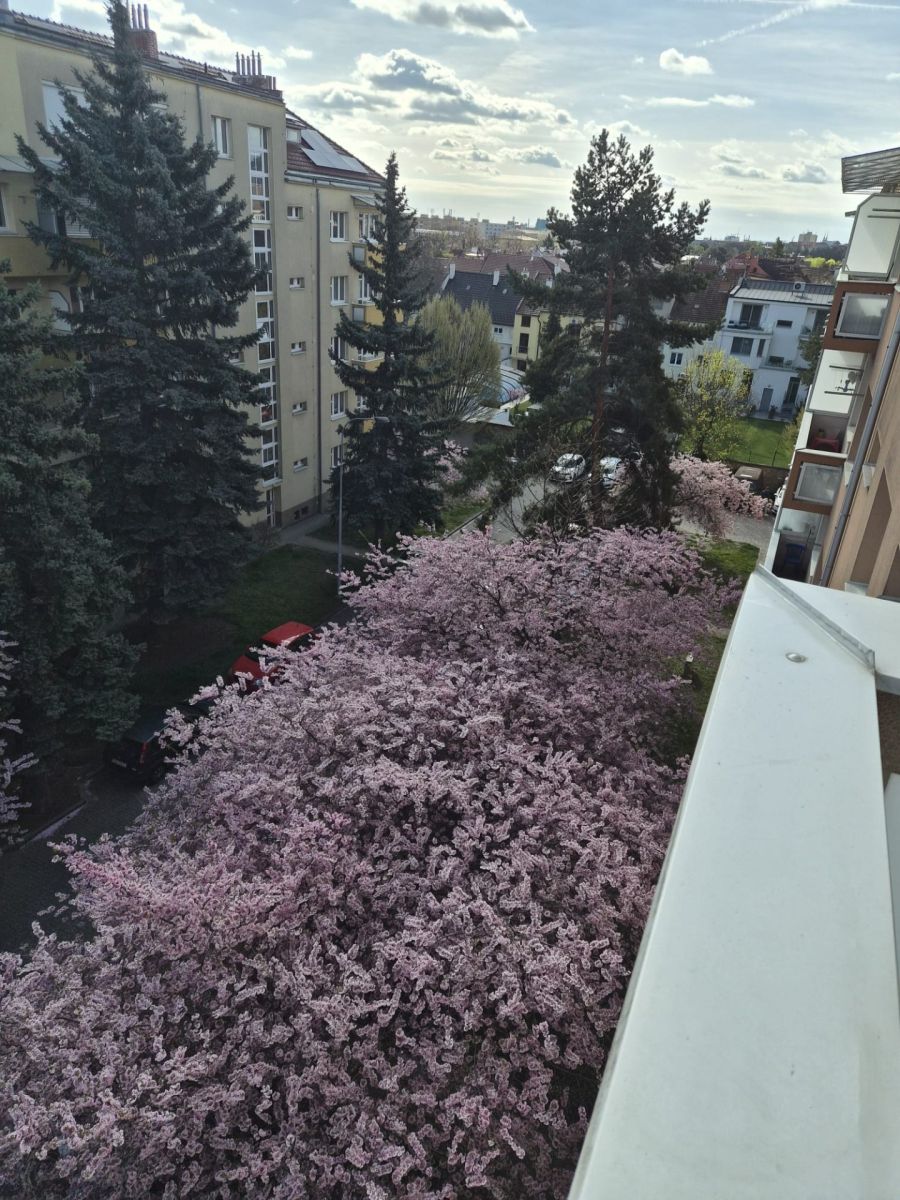 Pronájem bytu 2+kk 50 m² — photo 2