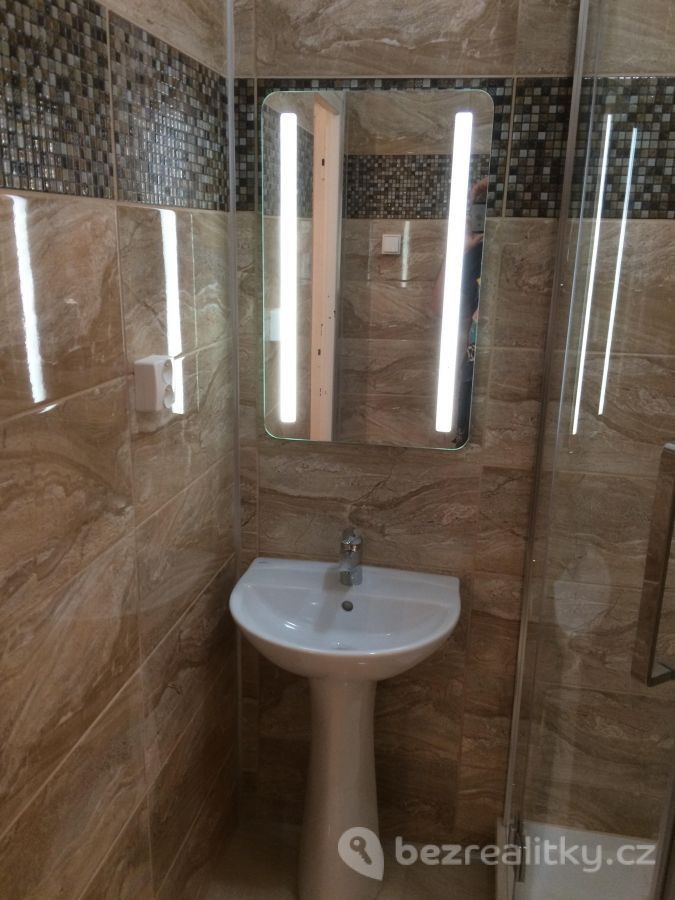 Pronájem bytu 4+1 19 m² — photo 4