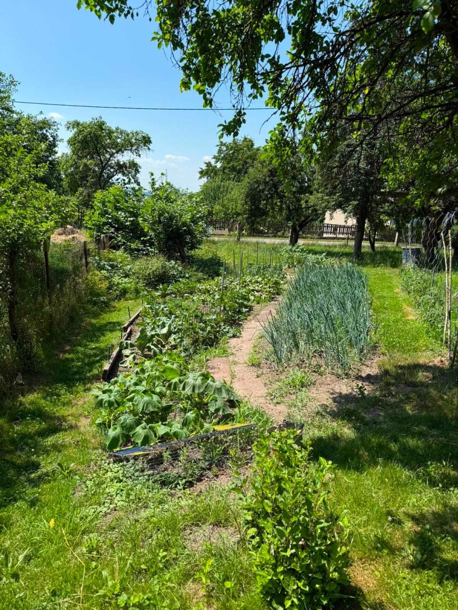 Prodej chaty, chalupy 145 m², pozemek 1.306 m² — photo 3