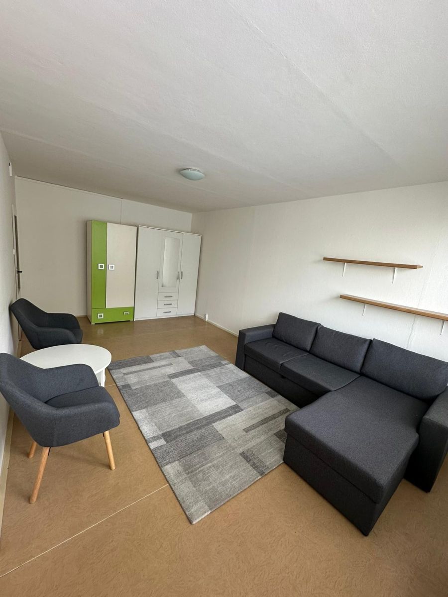 Pronájem bytu 1+1 34 m²