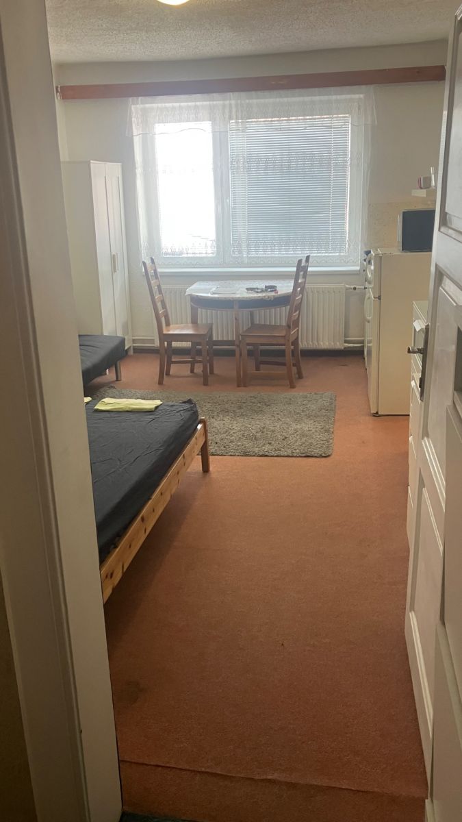 Pronájem bytu Garsoniéra 22 m² — photo 2