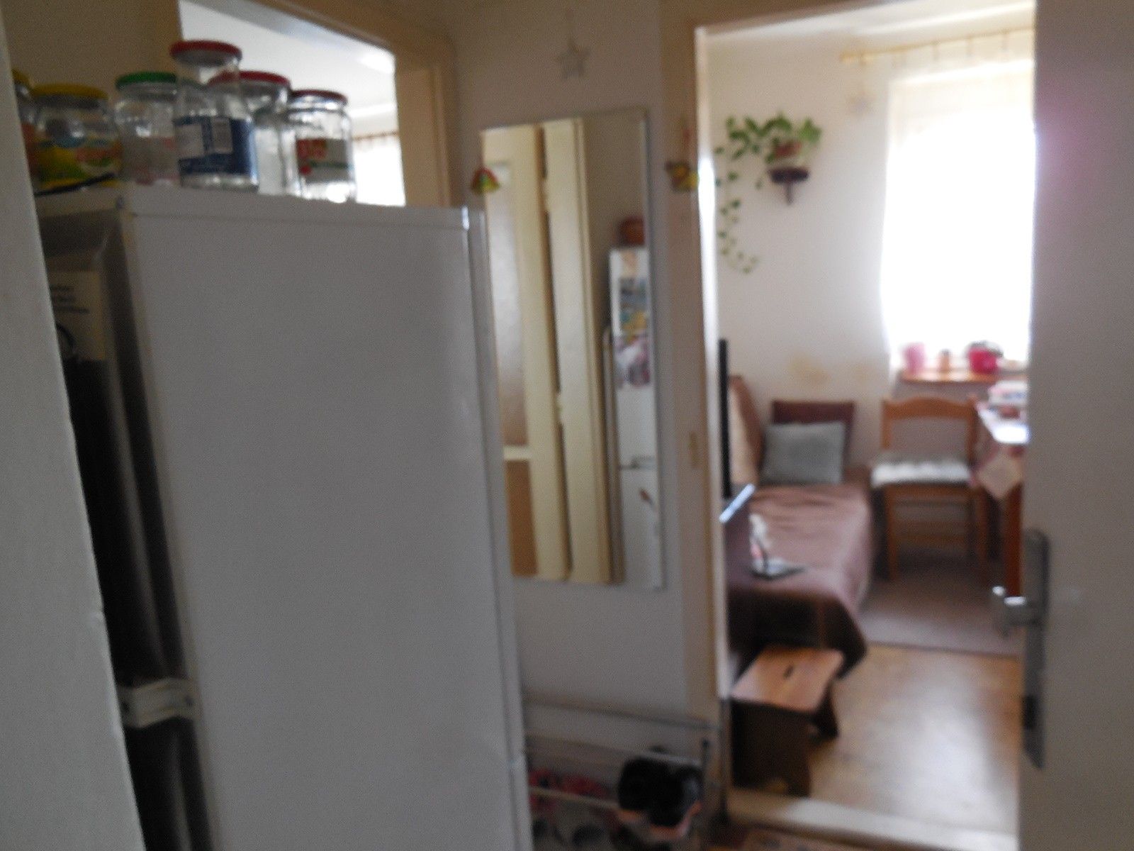 Pronájem bytu 1+1 33 m² — photo 2