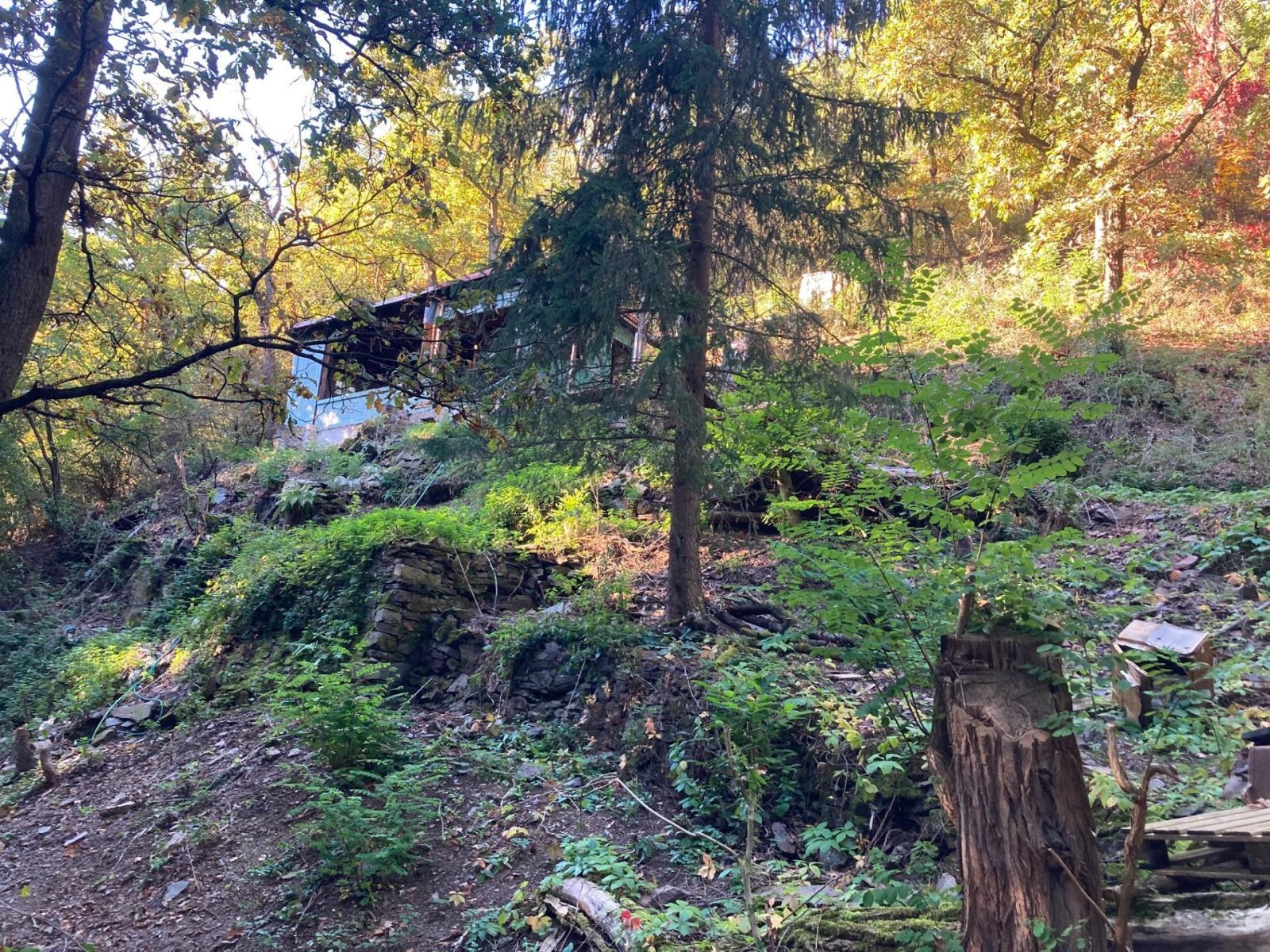 Prodej chaty, chalupy 32 m², pozemek 1.313 m²