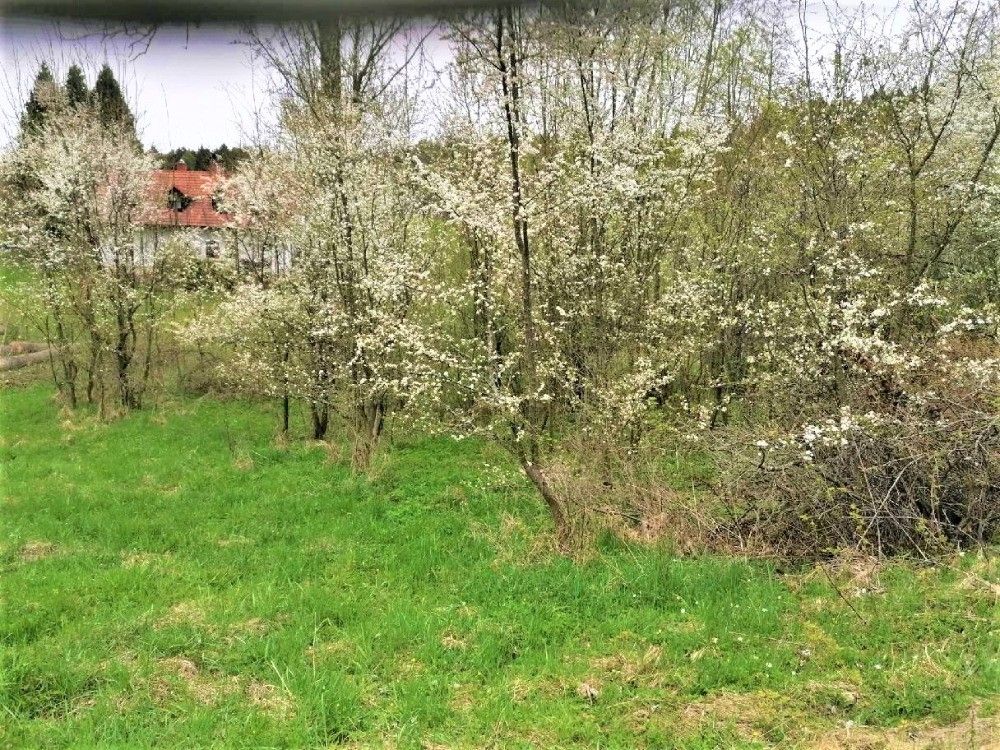Prodej pozemku 340 m²